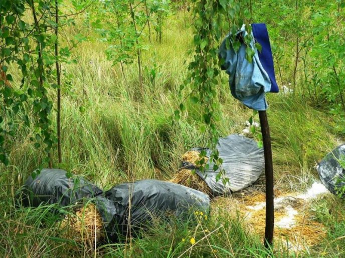 Мертвих свиней у пакетах на трасі біля села Зняцьово не знайшли – 01