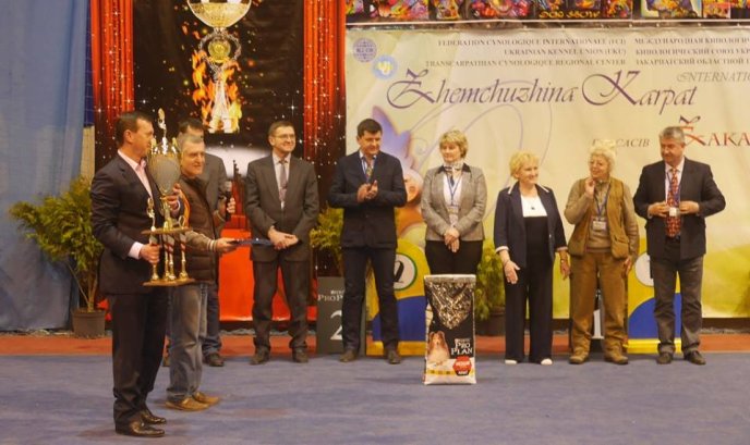 В Ужгороді визначили переможця Міжнародної виставки собак – 20