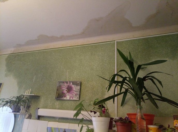 Інтернет-мережу шокували фото дитячої поліклініки в Ужгороді – 01