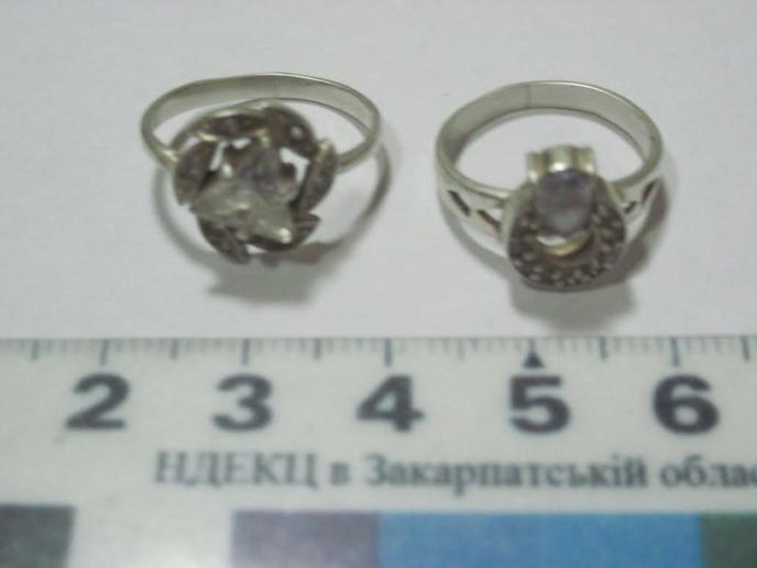 У Мукачеві затримали злочинне угрупування, яке півроку обкрадало приватні будинки людей (ФОТО) – 01