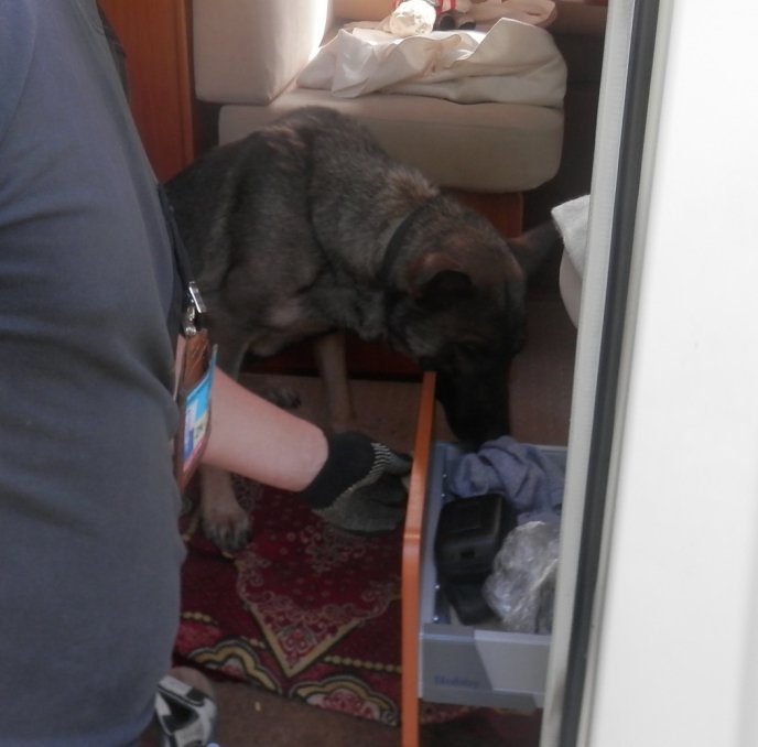 Прикордонники виявили у 59-річного чеха зброю та набої – 02