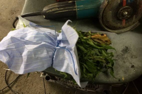 У чоловіка в гаражі знайшли цікаву знахідку – 01