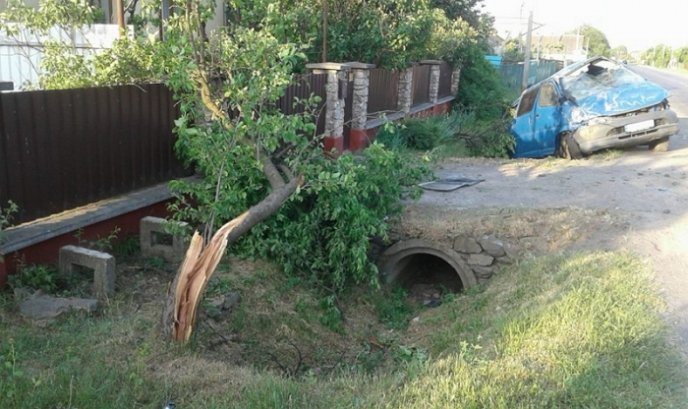 Карколомна ДТП на Ужгородщині: "Toyota" знесла сливу і перекинулась – 01