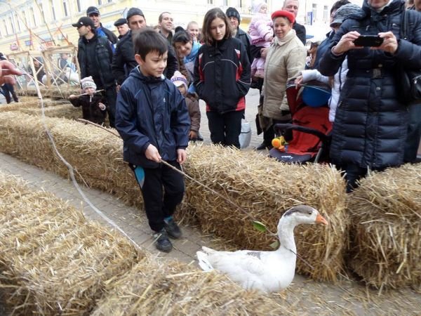 У Берегові відбулись офіційні святкування Дня святого Мартина – 11