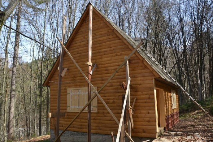 На околиці Колочави зі старого автобуса ЛАЗ зробили гігантський вулик – 03
