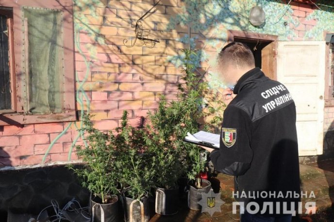 На Закарпатті судитимуть банду наркоторговців – 05