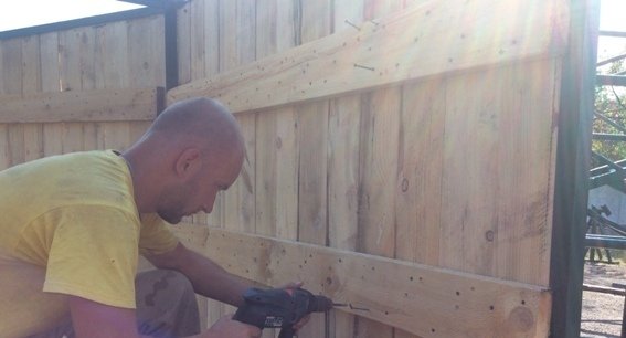 У Мукачеві відбудеться чемпіонат України серед кінологів – 01