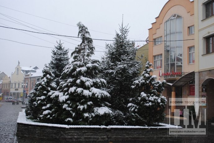 В Мукачеві засніжило (ФОТО) – 10