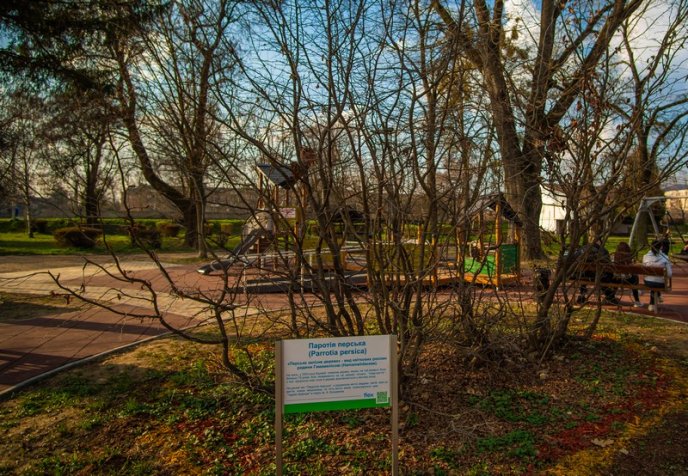 Соціальний проєкт компанії Флекс-Україна – 13