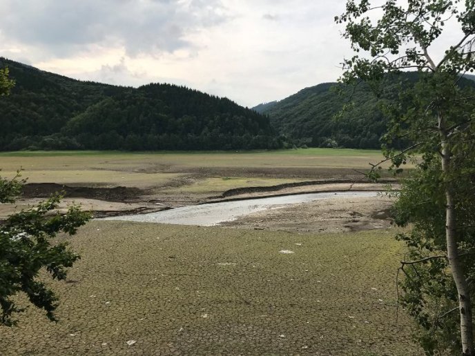 Пустеля серед лісу: як виглядає осушене Вільшанське водосховище – 09
