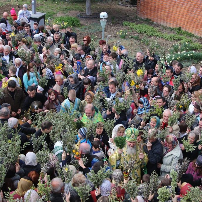 Владика Феодор освятив у Мукачівському кафедральному соборі вербові гілки (ФОТО) – 05