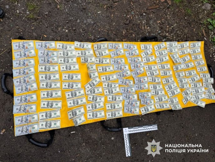 На Рахівщині судитимуть організаторів незаконної схеми – 04