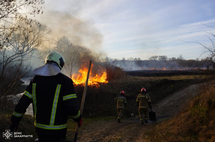 Двоє дівчат врятували природу, вчасно помітивши пожежу та зателефонувавши рятувальникам – 01