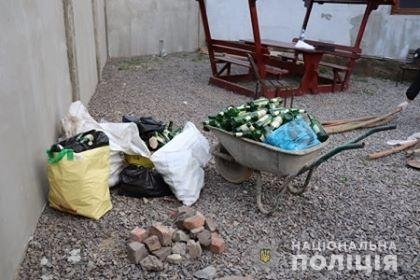 Спецоперація у Берегові: силовики вилучили холодну зброю та заготовки для "коктейлів Молотова" – 09