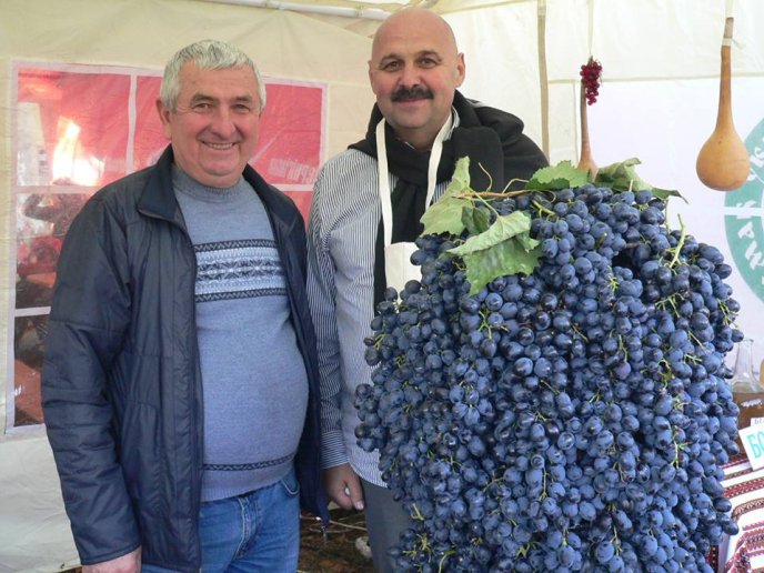 На Мукачівщині стартував фестиваль вина "Бобовищенське гроно" – 17
