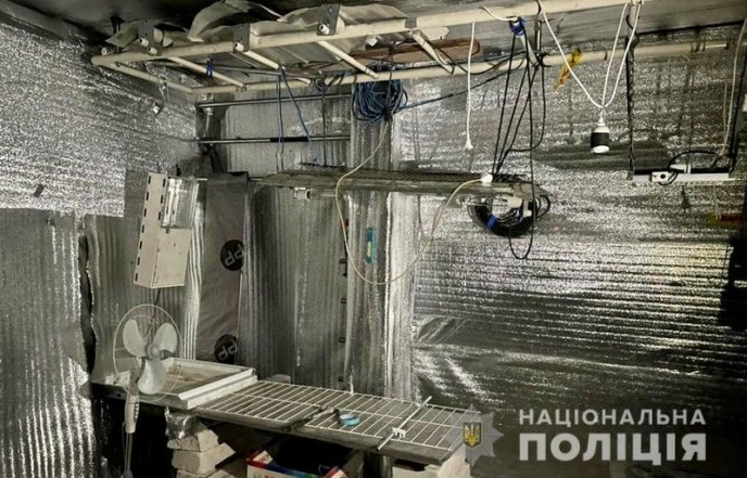 У Виноградові чоловік вирощував нарковмісні рослини – 02