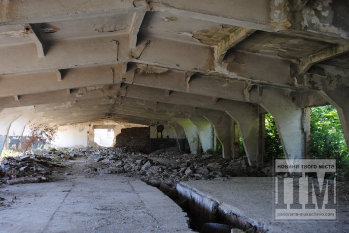 Маленька Прип’ять по сусідству зі школою та багатоквартирним масивом (ФОТО) – 07