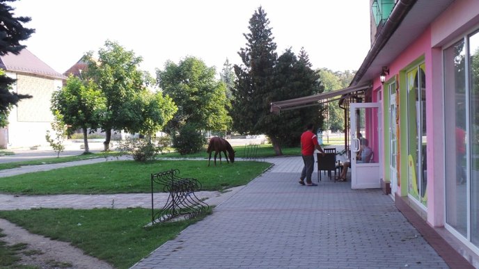 Хоча це і циганське містечко, але воно в рази краще, ніж більшість шахтарських селищ на Донбасі", – блогер про Великий Березний – 05