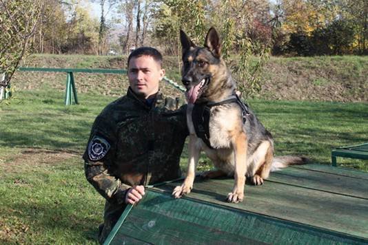 Німецька вівчарка Злата виявила у багажнику автомобіля гранатомет – 01