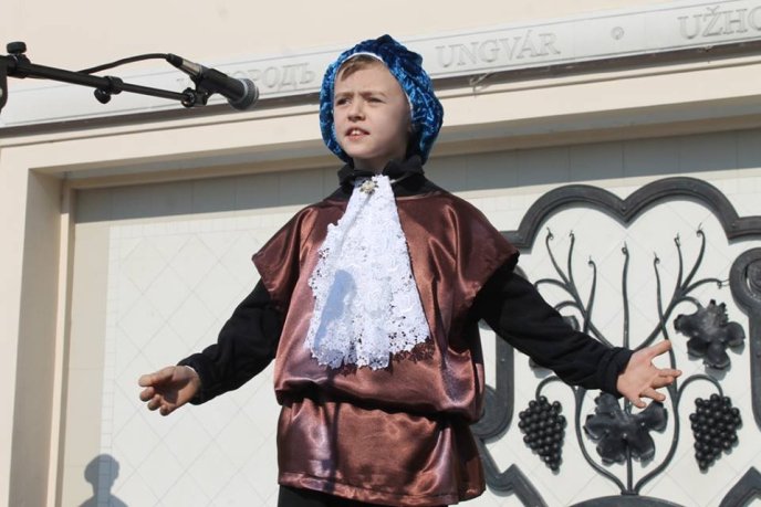 В рамках Дня міста Ужгород відбувся масштабний танцювальний флешмоб – 03