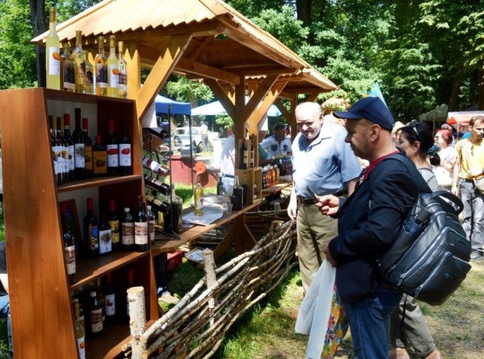 У виноградівському парку Перен відбувся винний фестиваль «Угочанська лоза» – 11