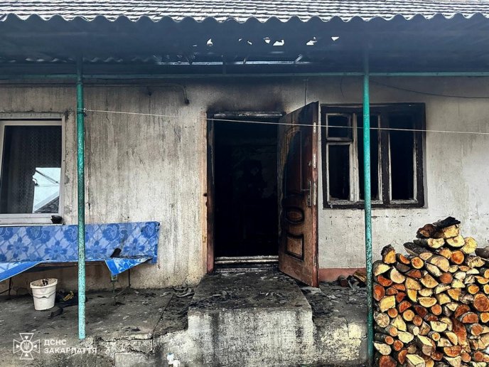 Пожежа у селі Неліпино