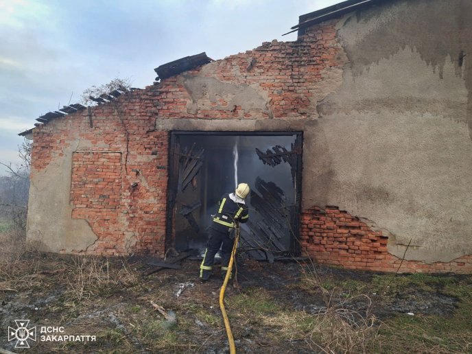 8 рятувальників гасили пожежу в селі на Мукачівщині – 01 Пожежа в Старому Давидкові