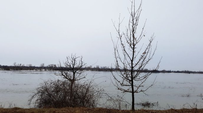 На Мукачівщині розлилася річка Стара: є ймовірність підтоплення траси "Київ-Чоп" – 05