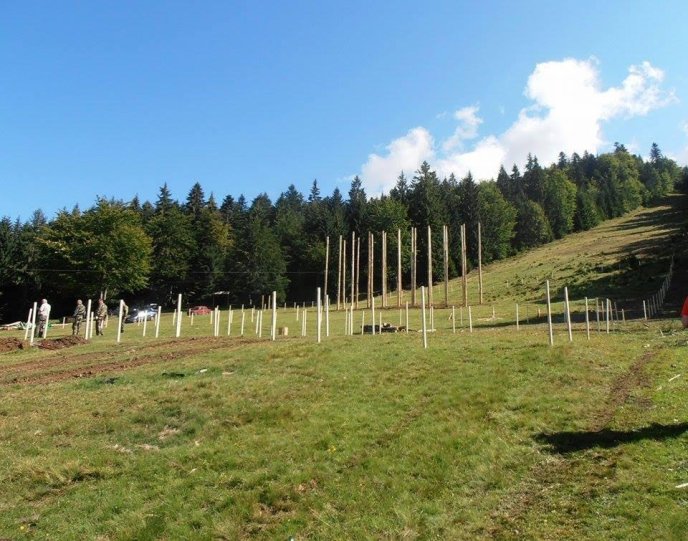 На Міжгірщині готуються до змагань "Лісоруб-2016"  – 01