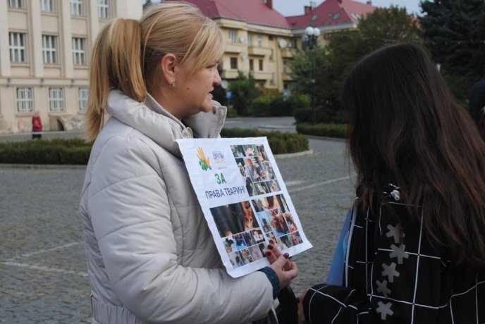 Пес на візку став одним із учасників маршу за права тварин в Ужгороді – 07