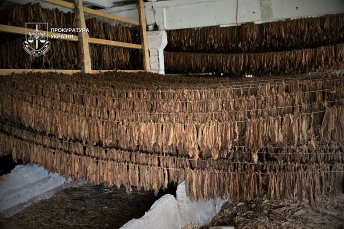 Підпільна мережа діяла в двох областях / фото: Закарпатська обласна прокуратура