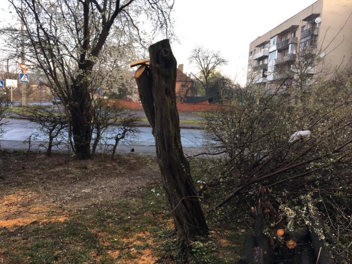 У Мукачеві в мікрорайоні Підгоряни бабуся здійняла переполох своєю витівкою – 02 У Мукачеві в мікрорайоні Підгоряни бабуся здійняла переполох своєю витівкою – 02