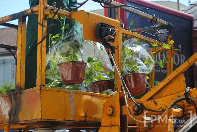 У Мукачеві на стовпах вуличного освітлення ростимуть квіти – 01