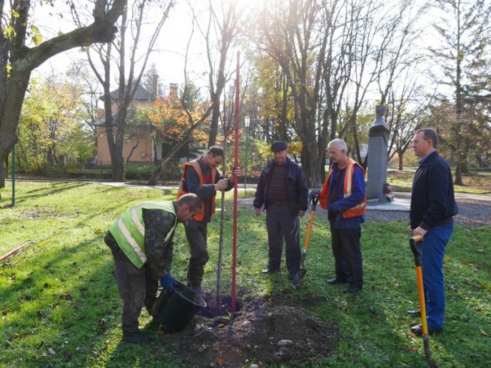 Цього місяця в Ужгороді висадять 250 дерев – 10