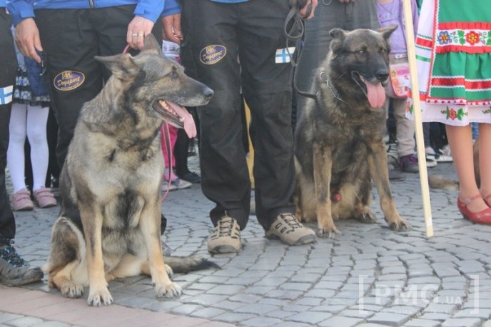 У Мукачеві урочисто відкрили чемпіонат світу зі слідової роботи службових собак – 47