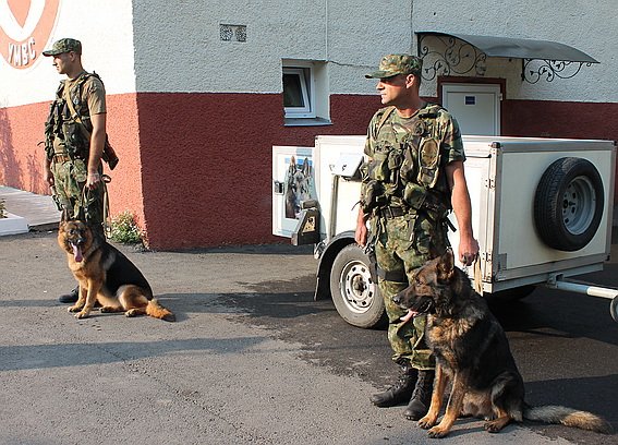 У зону АТО проводжали закарпатських кінологів – 04
