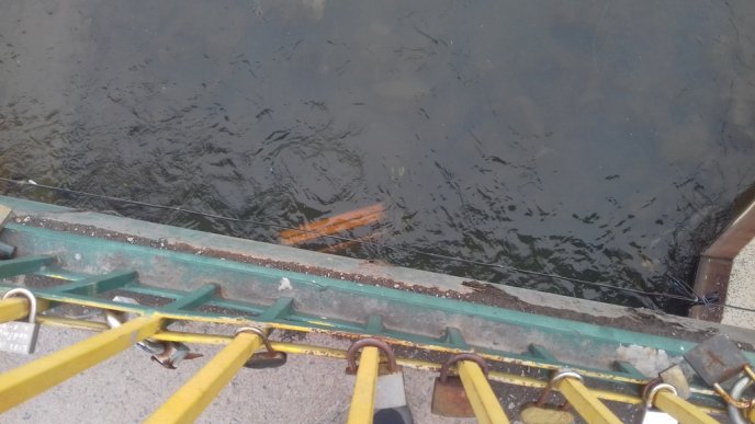 Невідомі скоїли у центрі Ужгорода ганебний вчинок – 01