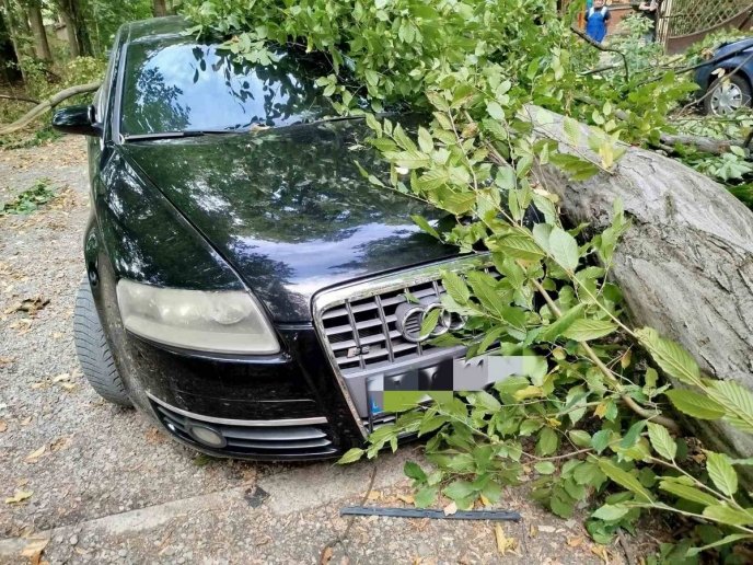 Повалені дерева і потрощені машини: негода наробила лиха в області – 01