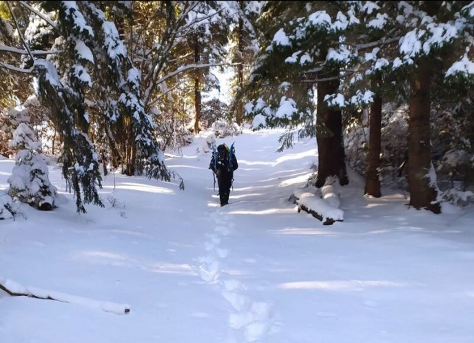 Знайшли сліди: у горах продовжують шукати лижника, який заблукав – 09 Знайшли сліди: у горах продовжують шукати лижника, який заблукав – 09