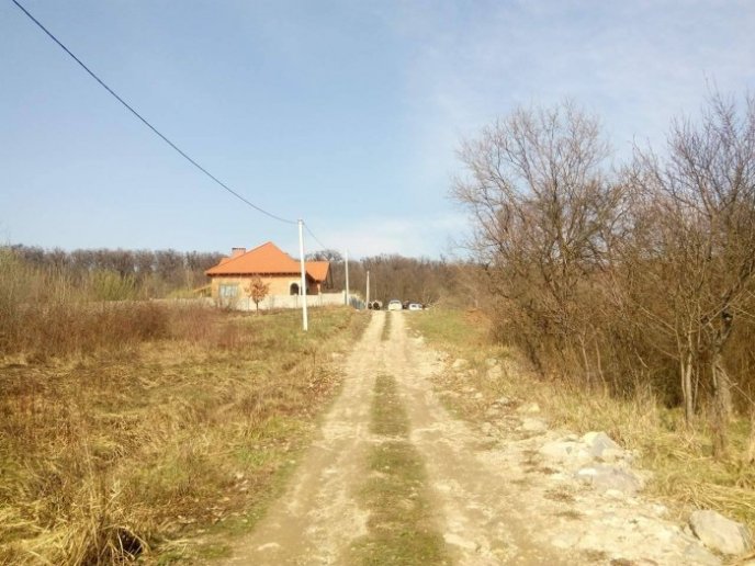 В Ужгороді двоє неповнолітніх намагалися пограбувати будинок – 04 В Ужгороді двоє неповнолітніх намагалися пограбувати будинок – 04