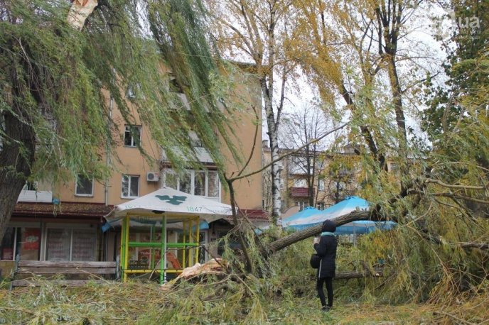 В Ужгороді негода повалила частину дерева на пішохідну зону – 02
