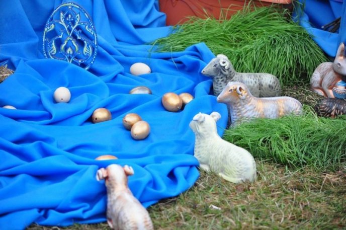 В Ужгороді встановили новий рекорд України – 14