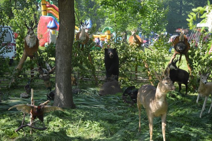 Фестиваль "Угочанська лоза": як закарпатці та гості краю на святі гуляли – 22