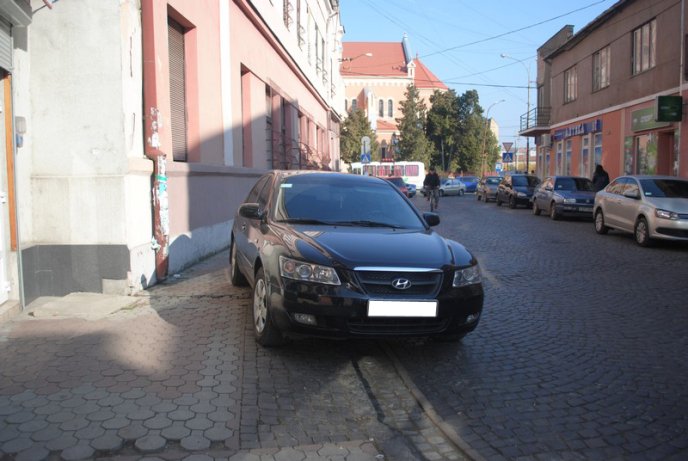 Вулицю Недецеї у Мукачеві заполонили "олені" (ФОТО) – 09 Вулицю Недецеї у Мукачеві заполонили "олені" (ФОТО) – 09