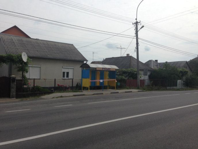 В селі Ракошино вказівник та автобусні зупинки перефарбували у кольори національного прапору України (ФОТО) – 21