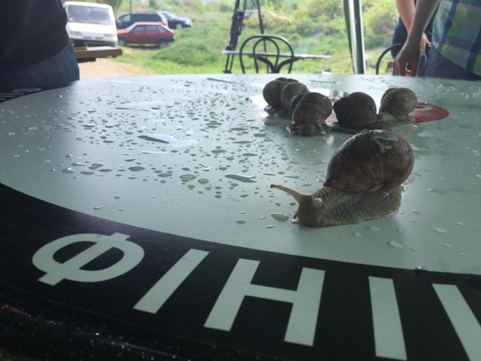 На Перечинщині відбулись незвичні перегони – 13