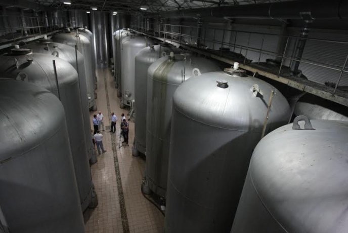 Під час візиту на Берегівщину губернатор Закарпаття пообіцяв захистити виноробів і пивоварів – 04