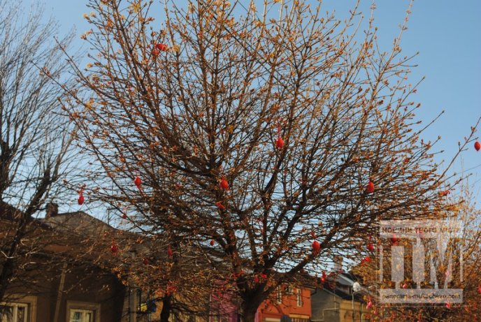 У Мукачеві студенти прикрашають дерева писанками та патріотичними стрічками (ФОТО) – 02