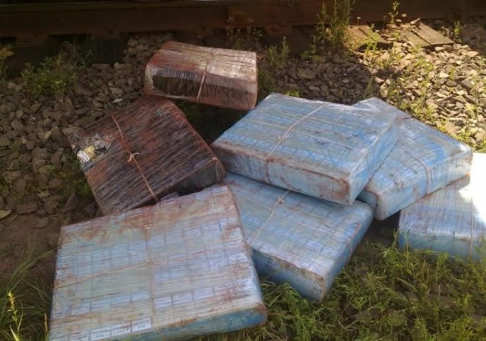 На українсько-словацькому кордоні службовий собака виявив контрабандний тютюн – 01