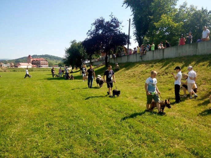 На міському пляжі Мукачева відбулась виставка собак – 04